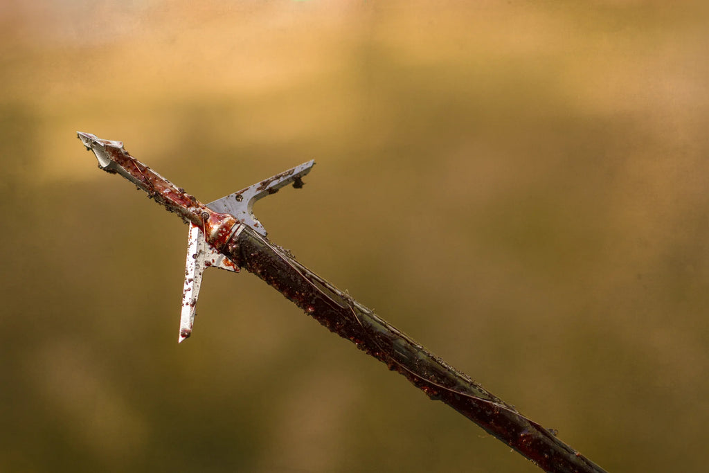 Slick Trick Raptortrick 100 Mechanical Broadhead